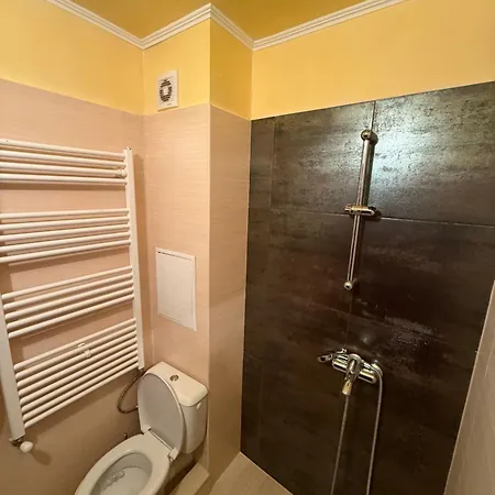 Ava Apartment Pamporovo