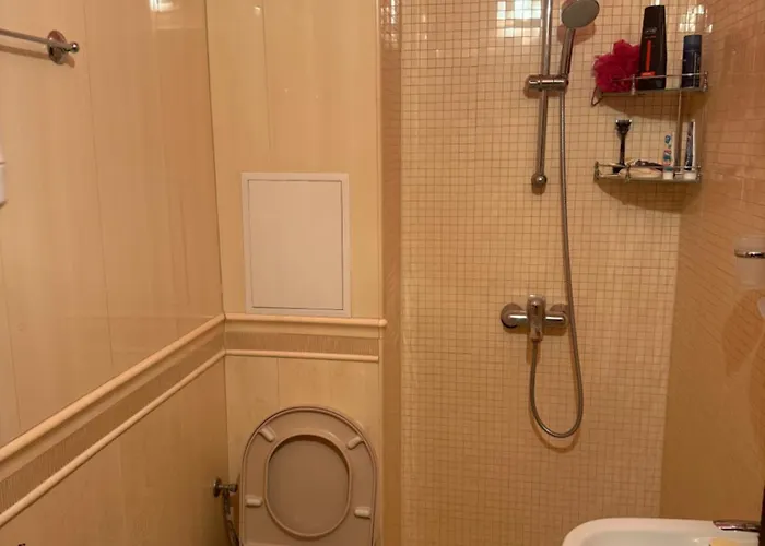 Ava 公寓 潘波洛沃